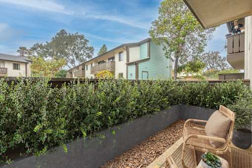 A patio with a chair and a planter box with a green plant.