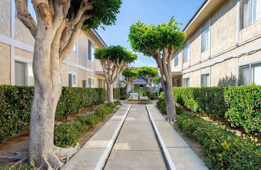 Sideway Path at Lido Apartments - 241 Avocado St, Costa Mesa