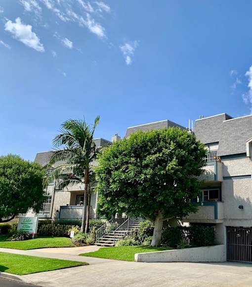 A modern house with a palm tree in front at 3615 Watseka Ave, Los Angeles, CA, 90034