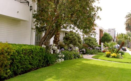 Lush Green Outdoor at Lido Apartments - 3610 Midvale Ave, Los Angeles, CA, 90034