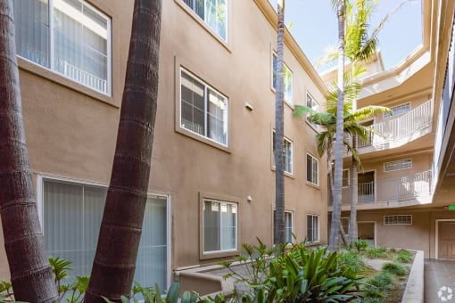 Palm Trees Inside Apartments at 3623 Jasmine Avenue, California, 90034