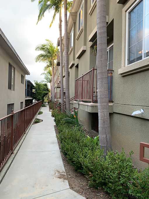 Walkway at Lido Apartments - 10133 Tabor St, California