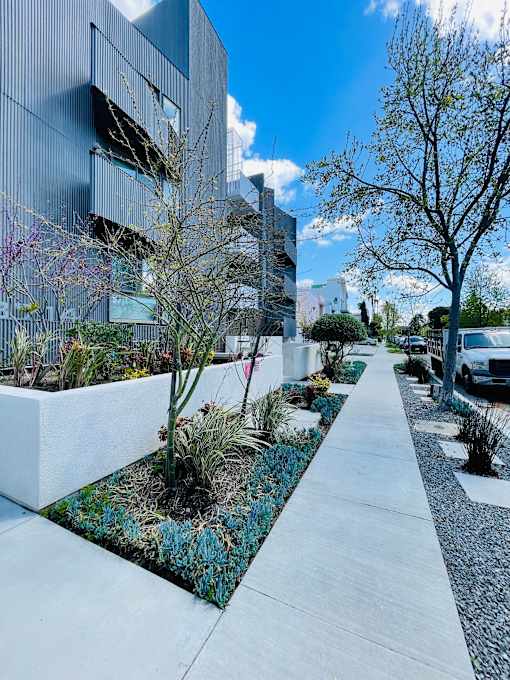 A modern building with a concrete walkway and a row of trees and plants.