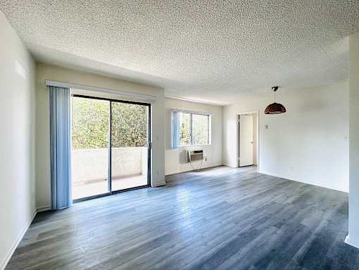 A room with a sliding glass door and a wooden floor.