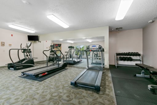 a gym with treadmills and other exercise equipment