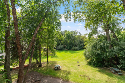 a view of a park with trees and a grass field