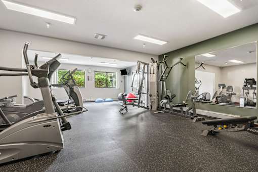 A gym with treadmills, exercise bikes, and other equipment.