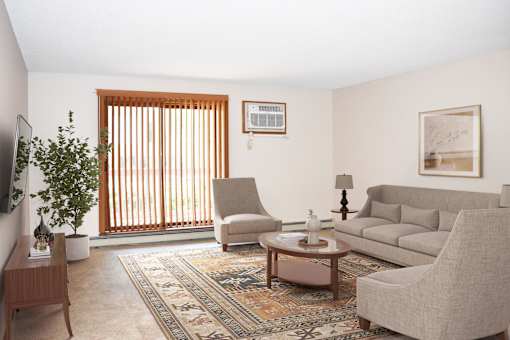 A living room with a couch, chair, and a rug.