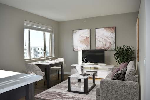Spacious studio apartment living room with natural light flooding in through large windows.