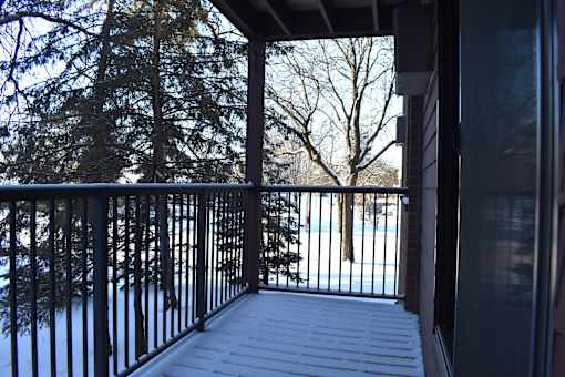 A snowy deck with a black railing and trees in the background.