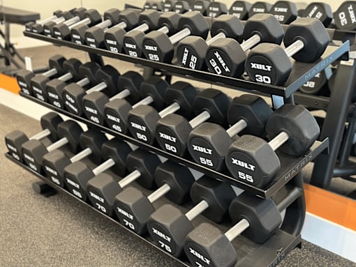 A rack of black dumbbells with white numbers ranging from 30 to 75.