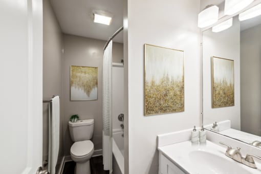 Bathroom at Lakecrest Apartments, PRG Real Estate Management, Greenville, SC, 29615