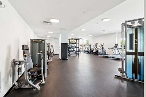 A gym with a variety of equipment including treadmills, weights, and exercise machines at The Point Apartments on 38th, Norfolk, Virginia