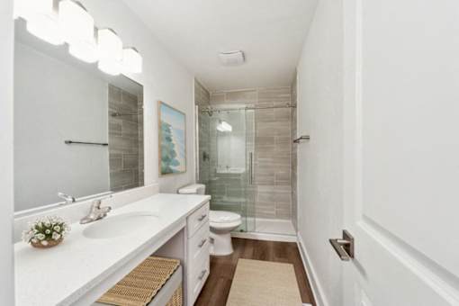 Bathroom at The Courtyards of Chanticleer Apartments, Virginia Beach 23451