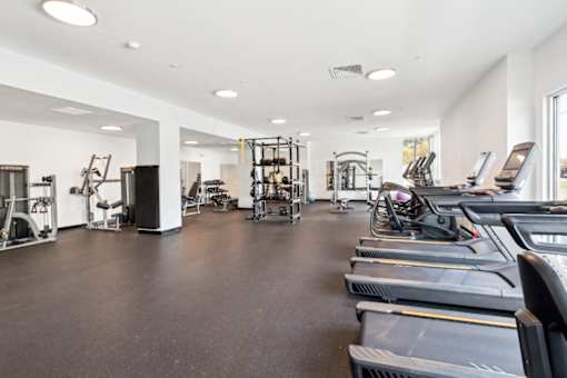 A spacious gym with treadmills, weights, and exercise equipment at The Point Apartments on 38th, Norfolk, Virginia