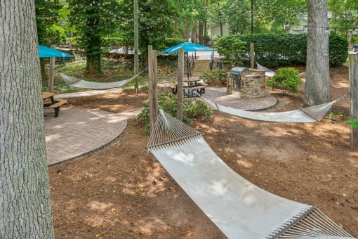 a group of hammocks hanging in a wooded park at Clarion Crossing Apartments, PRG Real Estate Management, Raleigh