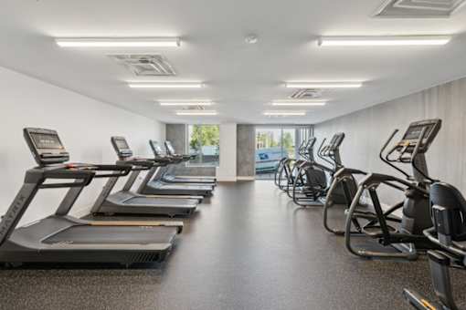 A gym with treadmills and elliptical machines at South Falls Tower Apartments, Virginia, 23224