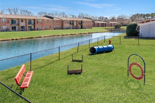 a dog park with a pond and apartment buildings in the background