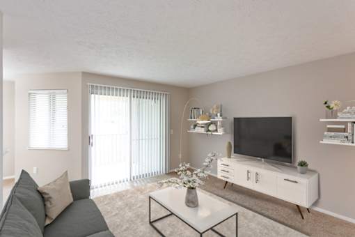 Living Room With TV at Chinoe Creek Apartments, Lexington 40502