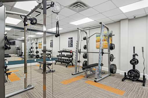A gym with a variety of equipment including weights and weight machines.