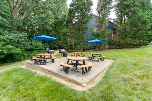 a group of picnic tables with umbrellas in a grassy area