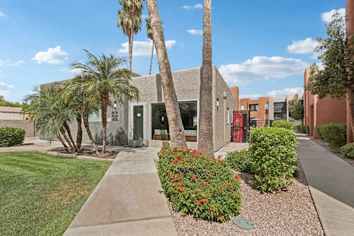 A building with a red door is surrounded by palm trees and bushes.