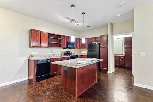 Upgraded Kitchen Cabinets and Appliances  at Overlook at Stone Oak Park Apartments, San Antonio, 78258