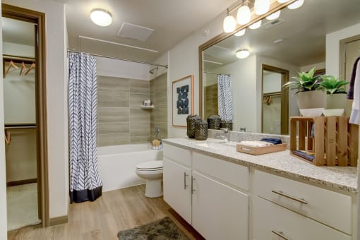 Spacious Upgraded Bathroom at Park at Rialto Apartments, San Antonio