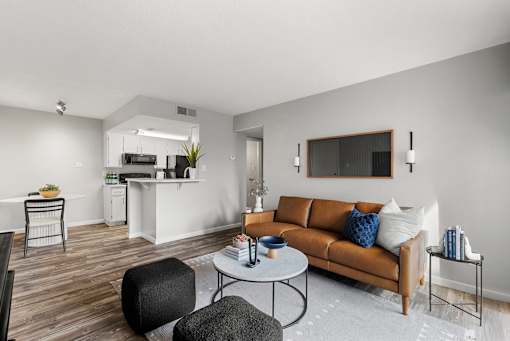 Living Room and Kitchen View