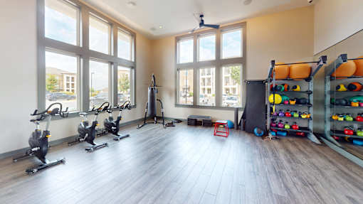 the gym with bikes
