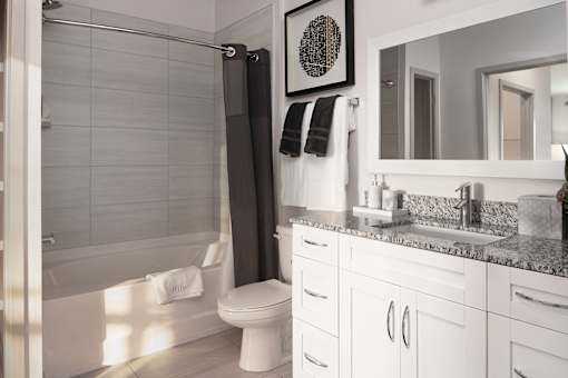 Bathroom with tub shower combo and modern vanity at Avli At Crosstown Center Apartments, Florida