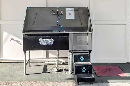 Pet grooming station with elevated tub and steps at Avli At Crosstown Center Apartments, TAMPA, 33619