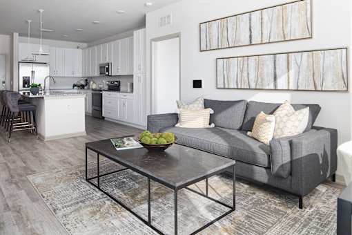 Open concept living room with gray sofa and kitchen at Avli At Crosstown Center Apartments, TAMPA