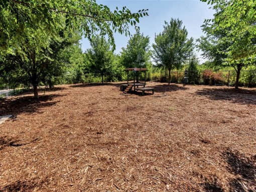 Large dog park with an agility piece in the middle and surrounded by big trees with ample shade