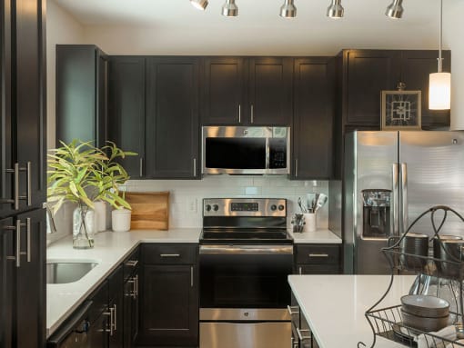 Luxury designer kitchen with dark wooden cabinets & stainless appliances in Charlotte, NC apartments