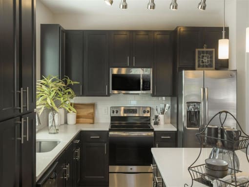 Updated Kitchen With Black Appliances at Pointe at Prosperity Village Apartment Rentals in Charlotte