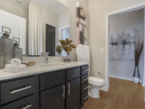 Bathroom With Adequate Storage at Pointe at Prosperity Village Apartment Homes for Rent in Charlotte