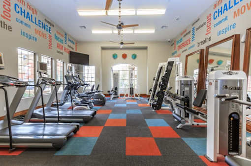 a gym with cardio machines and weights in a large room with windows