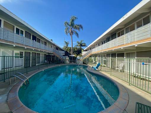 A swimming pool in a residential area with a palm tree in the background.