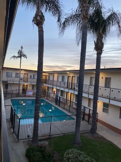 A pool surrounded by palm trees and apartment buildings.