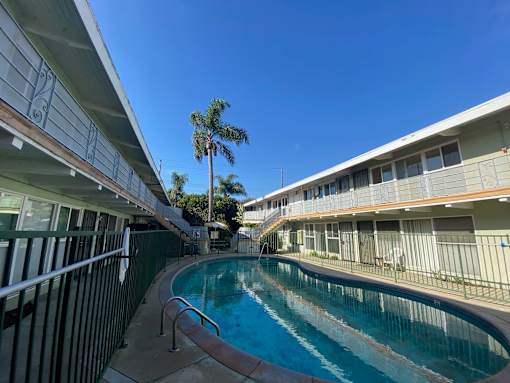A pool in a residential area with a palm tree in the background.