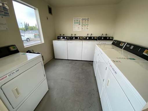 A laundromat with a row of washers and dryers.