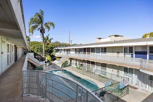 A pool area with a palm tree and a building in the background.