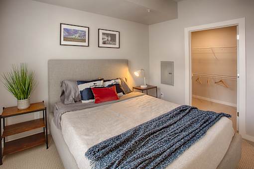 A bedroom with a bed, a nightstand, a plant, and pictures on the wall.