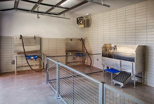 A room with a metal fence and a blue object on the floor.