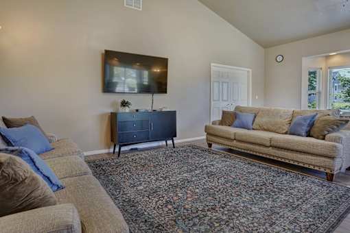 A living room with a couch, a rug, and a television.