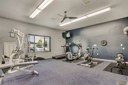 A well-equipped home gym with a variety of exercise machines.