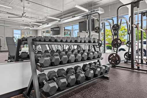 A gym with a rack of black dumbbells.