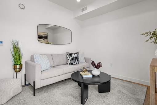 A living room with a grey couch, a round mirror, a coffee table, and a potted plant.