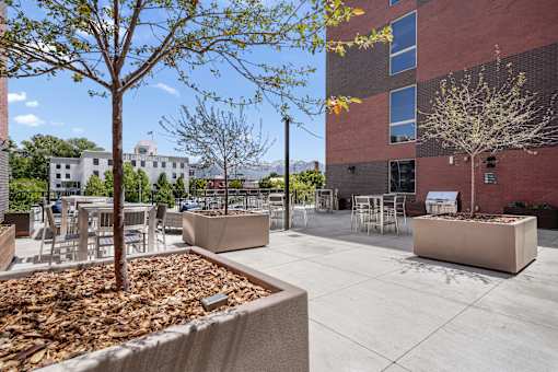 A courtyard with a tree and a planter box.